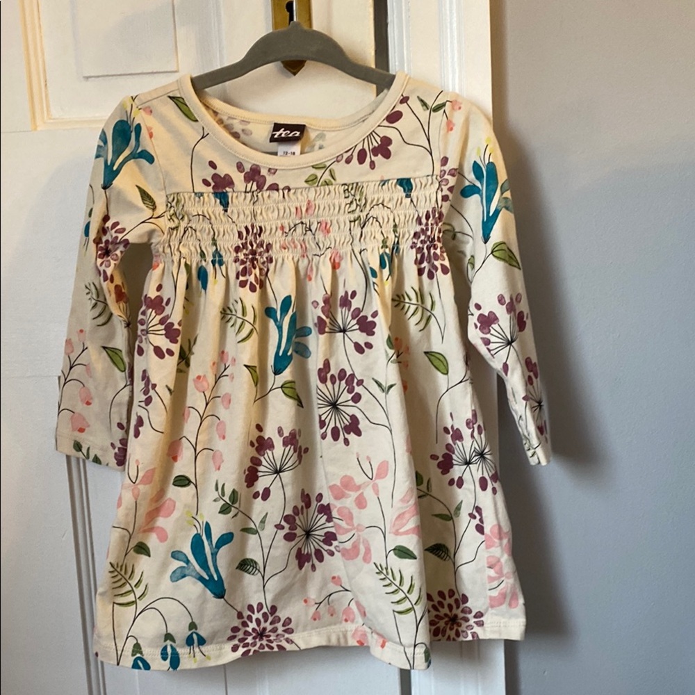 Tea Collection Size 12-18 month’s Floral Long Sleeve Baby Dress